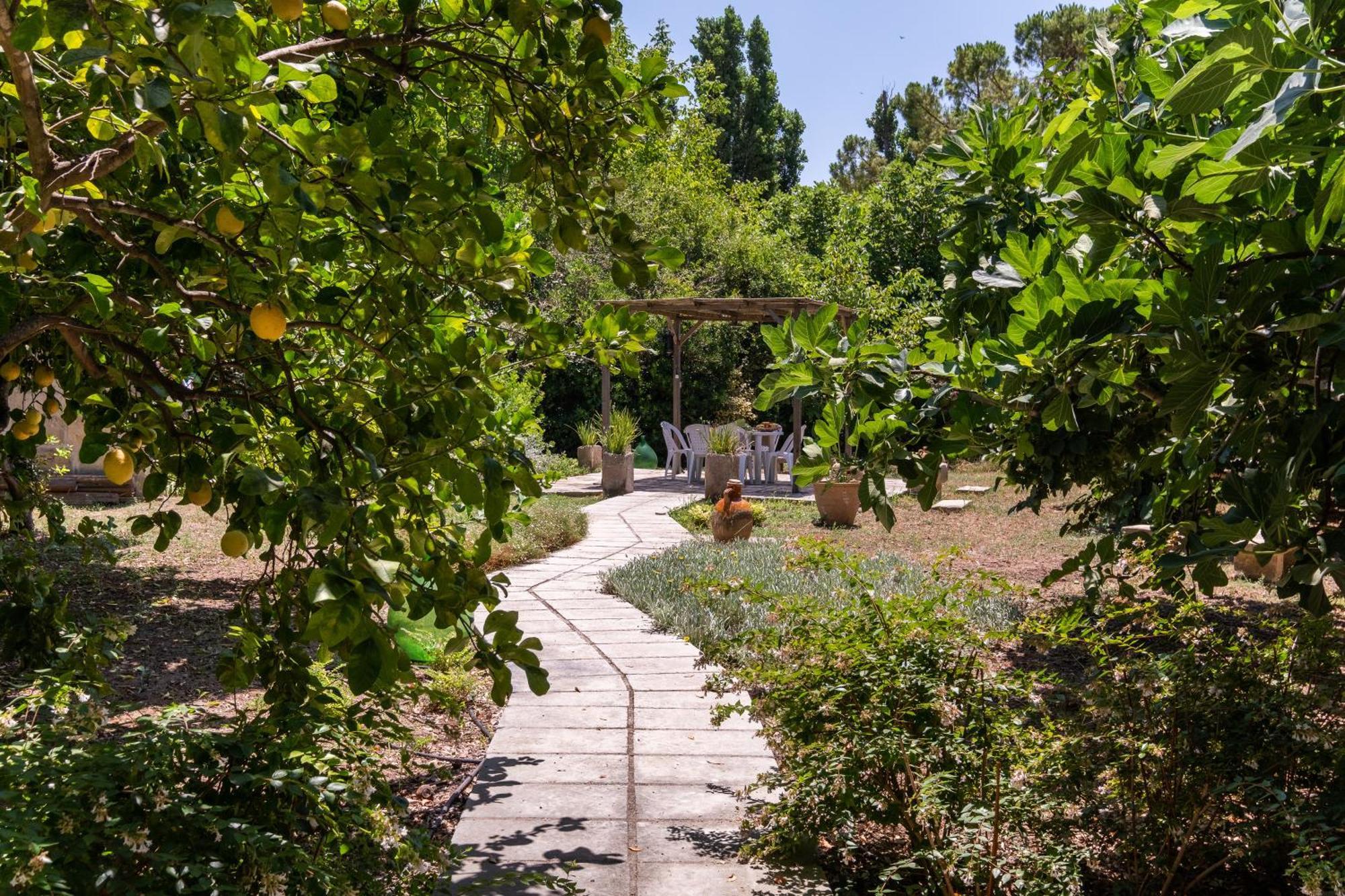 La Dimora Elia' Villa Muro Leccese Kültér fotó